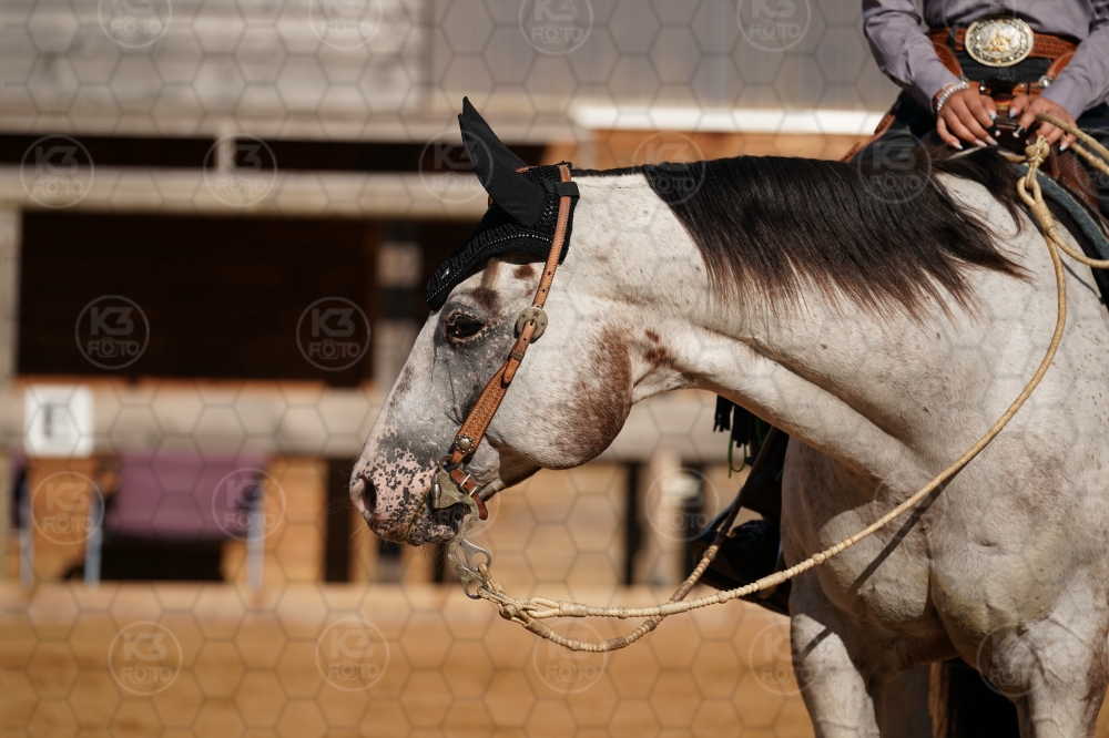 s_A9_04607.jpg